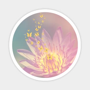 Lotus Flower Butterflies Cute Magnet